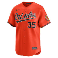 Alternative view of Adley Rutschman Baltimore Orioles Orange Alternate Limited Jersey - All Stitched