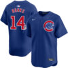 Ernie Banks Chicago Cubs Royal Blue Alternate Limited Jersey - All Stitched