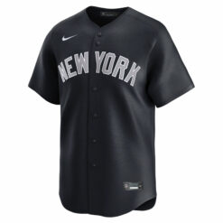 Alternative view of DJ LeMahieu New York Yankees Navy Alternate Limited Jersey - All Stitched