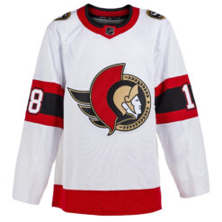 Alternative view of Tim Stutzle Ottawa Senators White Road Primegreen Jersey - All Stitched